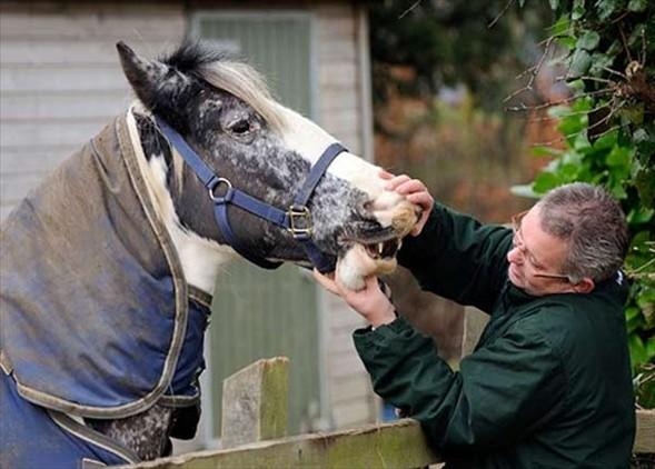 İşte Sınırları Zorlayan Fotoğraflar