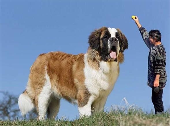 İşte Sınırları Zorlayan Fotoğraflar