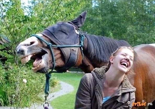 Yaşamın içinden birbirinden renkli kareler