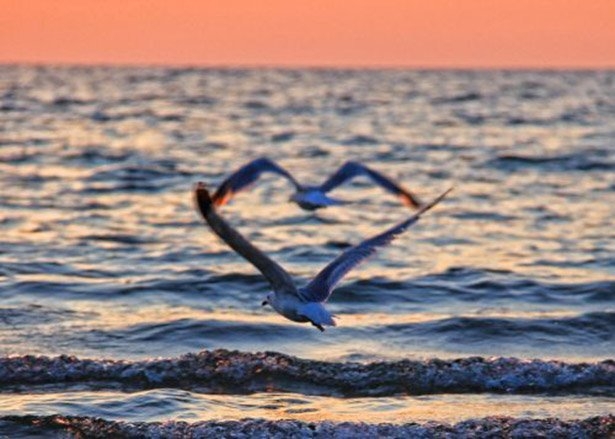 Yaşamın içinden birbirinden renkli kareler