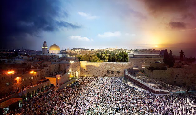 Tek fotoğrafta 24 saat