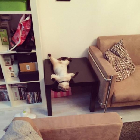 Günün en çılgın karaleri