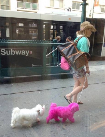 Günün en çılgın karaleri