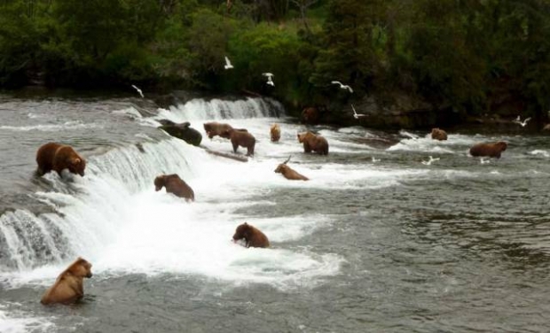 Günün en çılgın karaleri