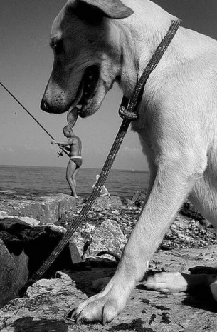 Gülümseten zamanlamalar