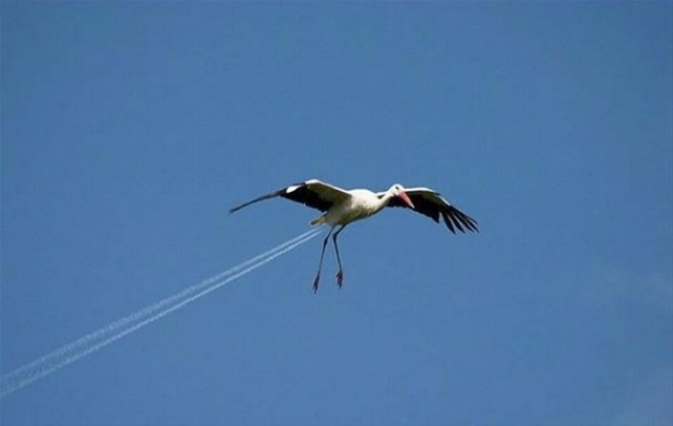 Gülümseten zamanlamalar