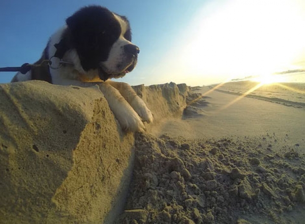 Gülümseten zamanlamalar