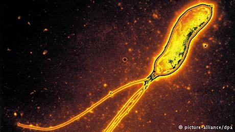 Kanseri Önlemenin Yollları