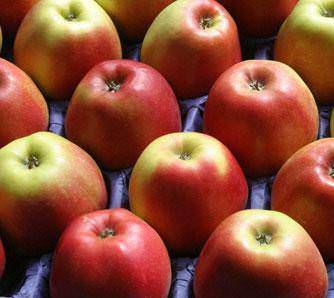 Resimli Pratik bilgiler