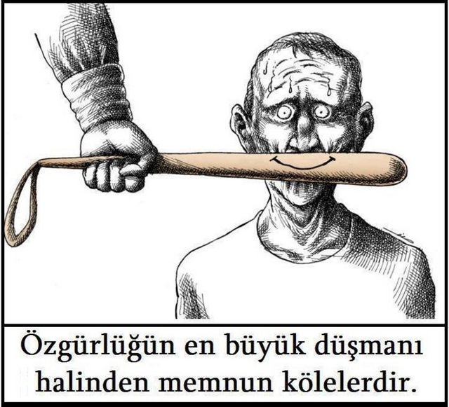 Ders Çıkarılması Gereken  Fotoğraflar