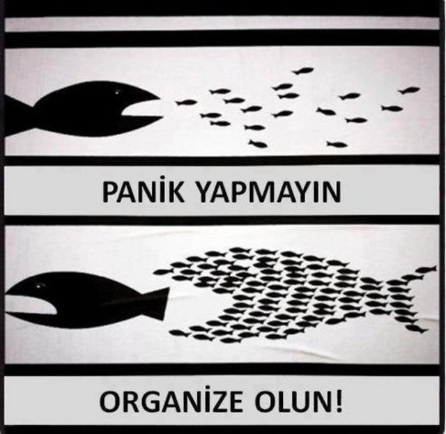 Ders Çıkarılması Gereken  Fotoğraflar