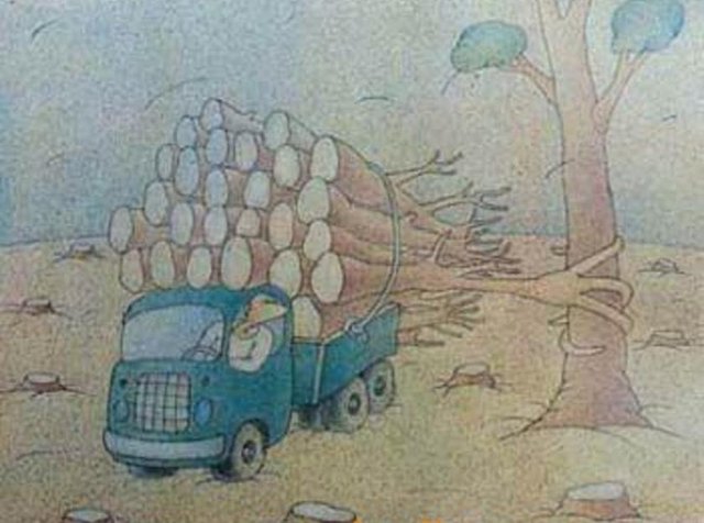 Ders Çıkarılması Gereken  Fotoğraflar