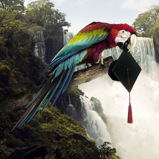 Türk sanatçıdan inanamayacağınız muhteşem dijital çizimler