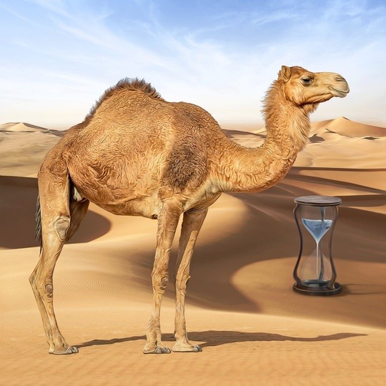 Türk sanatçıdan inanamayacağınız muhteşem dijital çizimler