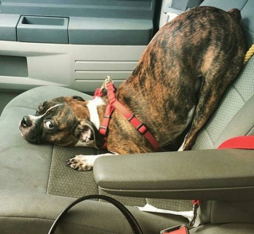 Günün Çılgın Fotoğrafları