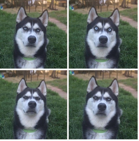 Günün Çılgın Fotoğrafları