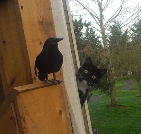 Günün Çılgın Fotoğrafları