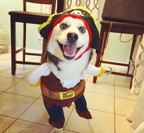 Günün Çılgın Fotoğrafları