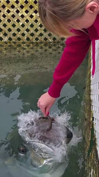 1 Saniye Sonra Merak Edeceğiniz Fotoğraflar