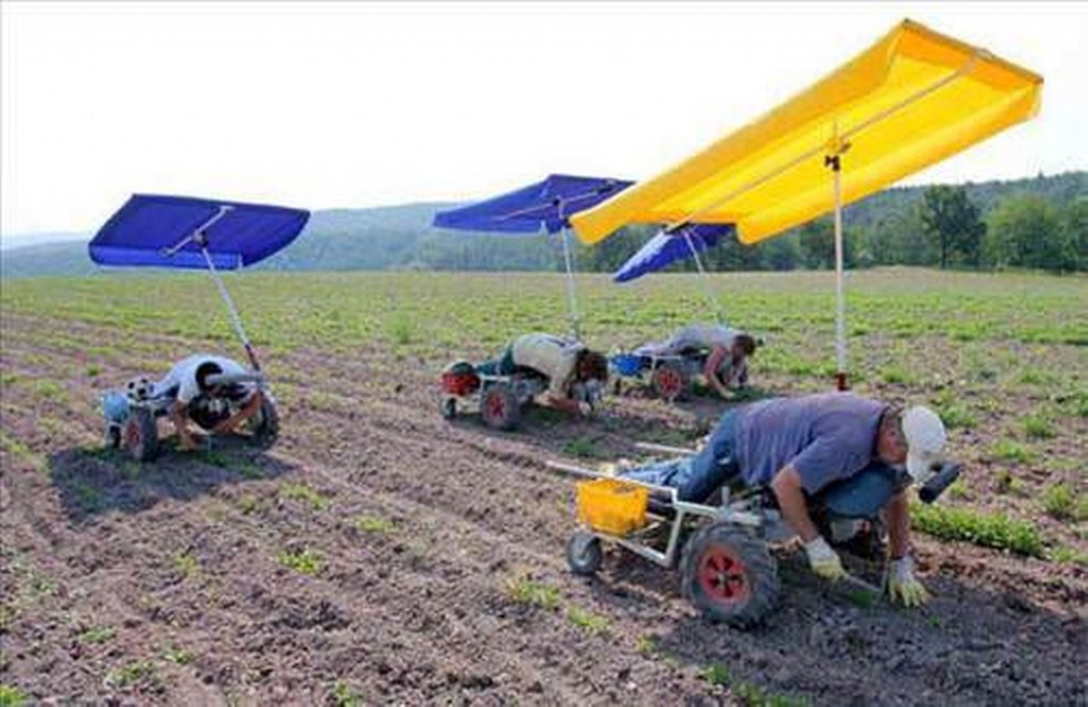 Gün içinde çekilen ilginç kareler