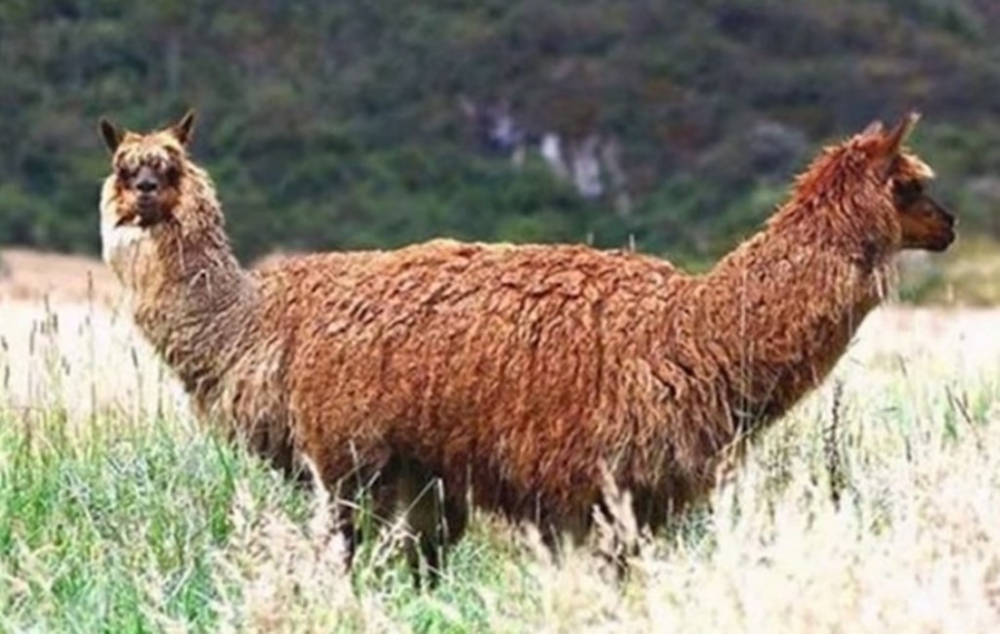 Gün içinde çekilen ilginç kareler