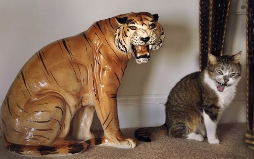 Gün içinde çekilen ilginç kareler