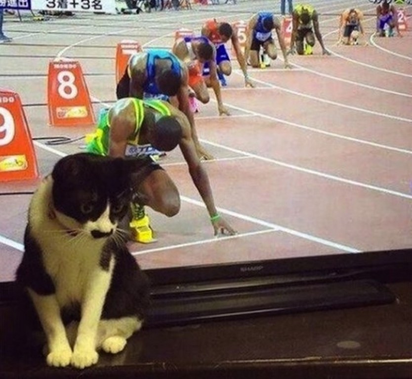 Gün içinde çekilen ilginç kareler