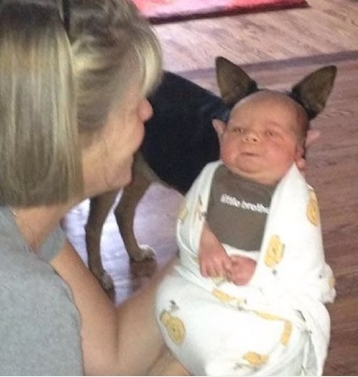 Gün içinde çekilen ilginç kareler