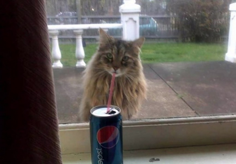 Gün içinde çekilen ilginç kareler