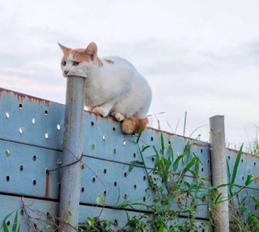 Gün içinde çekilen ilginç kareler