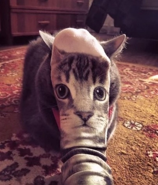 Gün içinde çekilen ilginç kareler