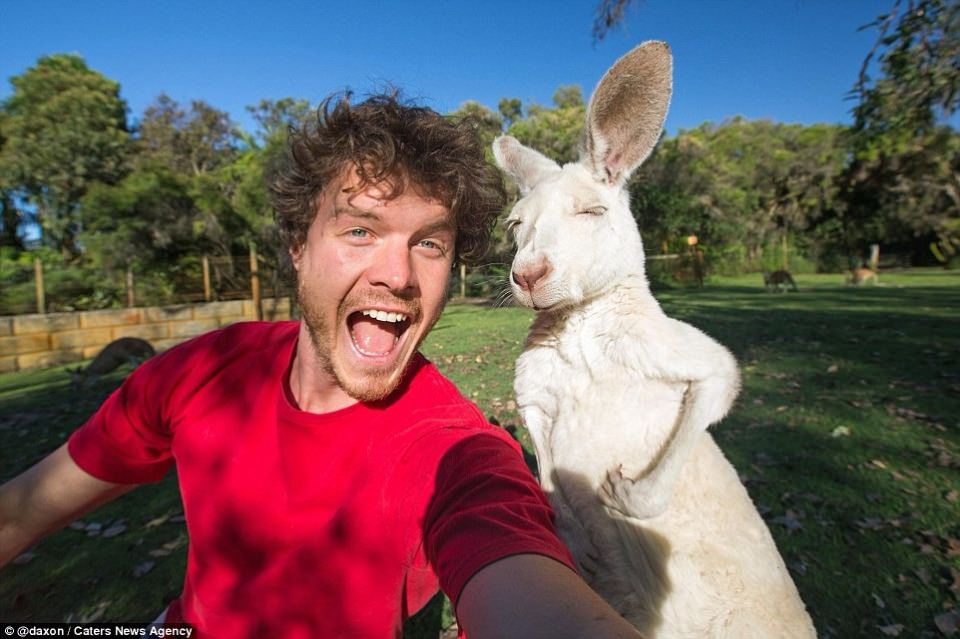 Hayvanlarla Selfie Keyfi ? Selfie Nedir