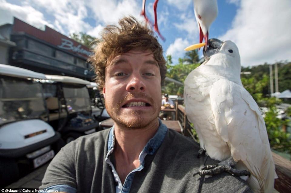 Hayvanlarla Selfie Keyfi ? Selfie Nedir