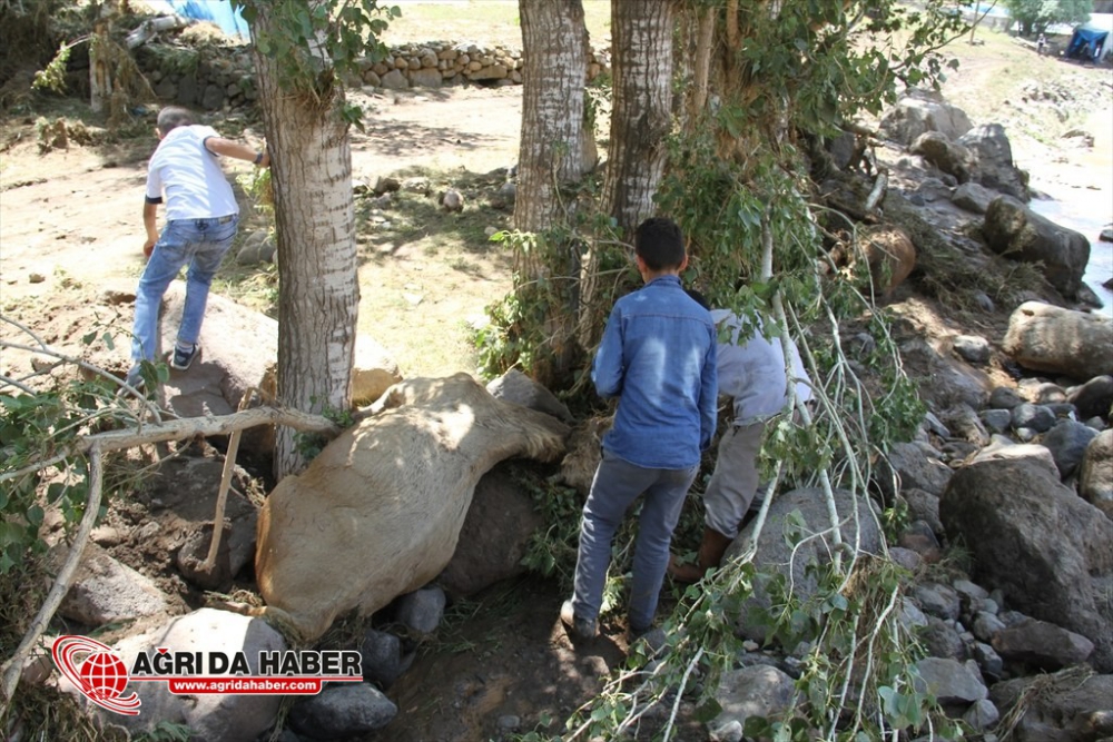 Ağrı'nın Hamur İlçesinde Yaşanan Sel Sonrası İlk Kareler