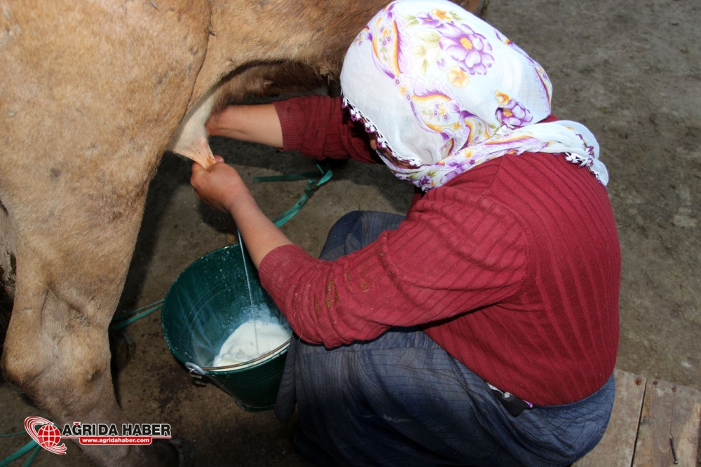 Yaylada Ramazan bir başka geçiyor
