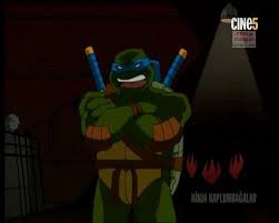 Ninja Kaplumbağalar
