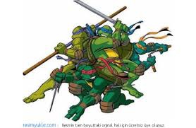 Ninja Kaplumbağalar