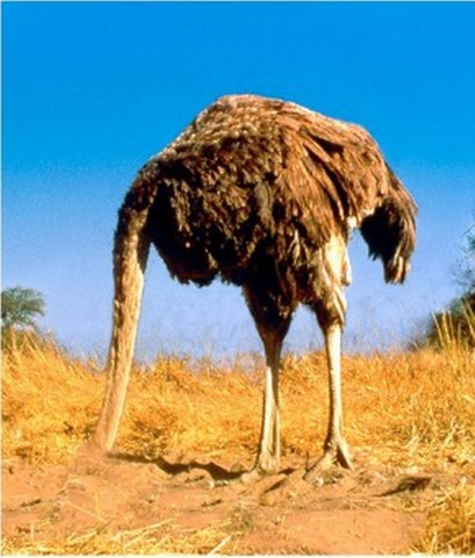 Bunları Biliyor muydunuz?