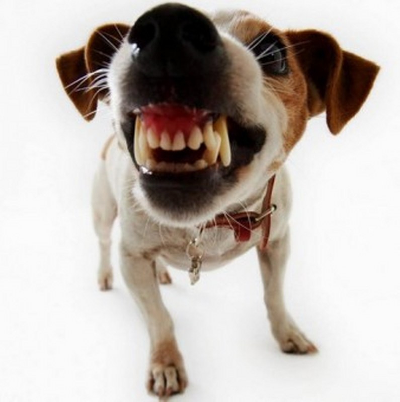 Bunları Biliyor muydunuz?