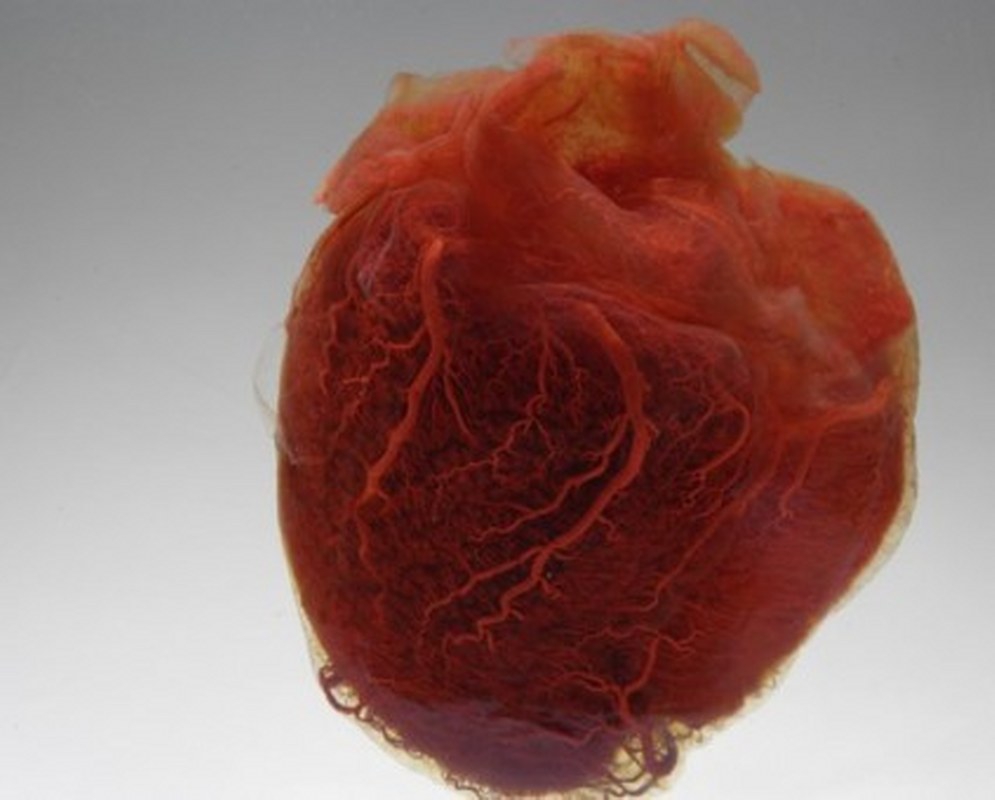 Bunları Biliyor muydunuz?