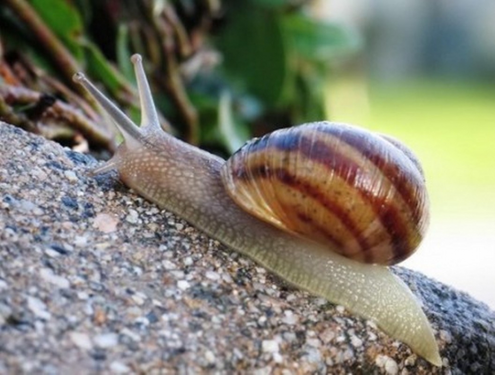 Bunları Biliyor muydunuz?