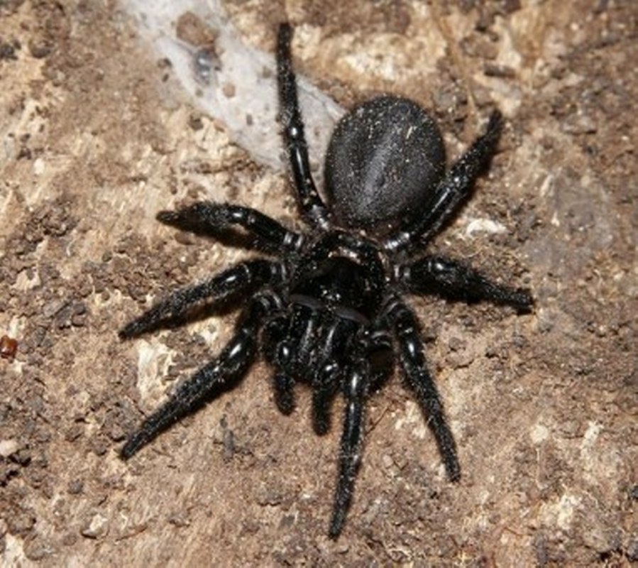 Bunları Biliyor muydunuz?