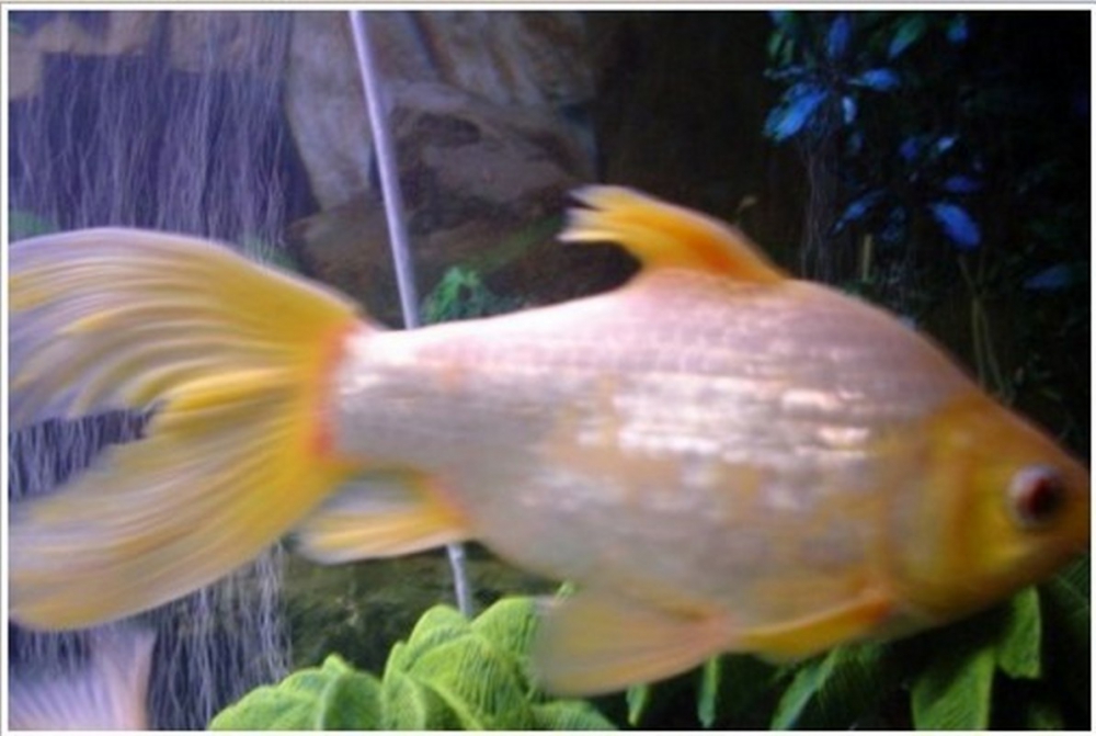 Bunları Biliyor muydunuz?