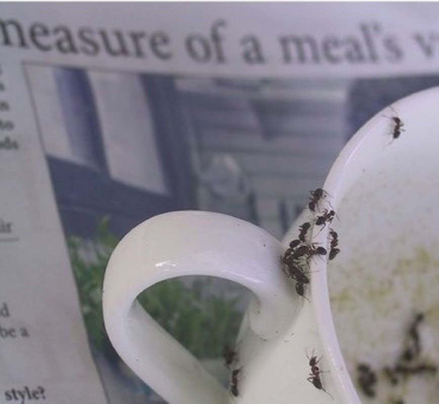 Bunları Biliyor muydunuz?