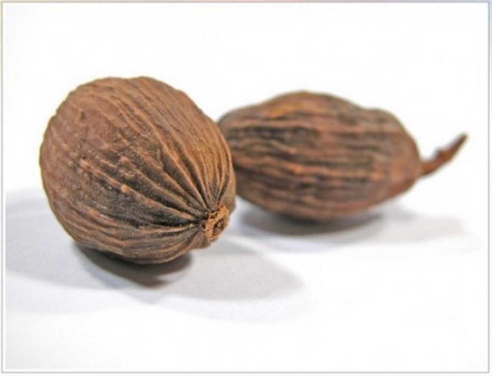 Bunları Biliyor muydunuz?