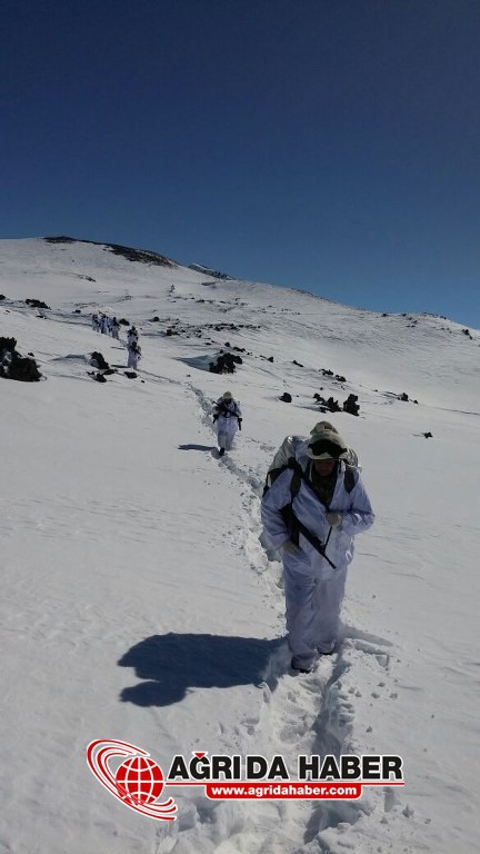 Tendürek'te operasyon 15 Mağara İmha Edildi