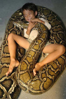 Belkide Daha Önce Hiç Duymadığınız Bilgiler