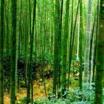 Belkide Daha Önce Hiç Duymadığınız Bilgiler