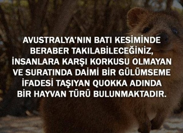 İlginç Tepkiler Vereceğiniz İlginç Bilgiler