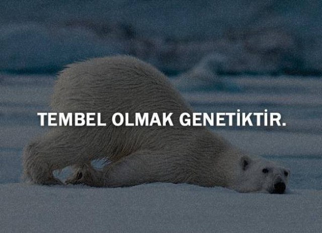 İlginç Tepkiler Vereceğiniz İlginç Bilgiler